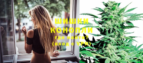 прущие грибы Богородицк