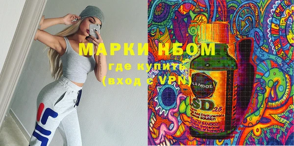 прущие грибы Богородицк