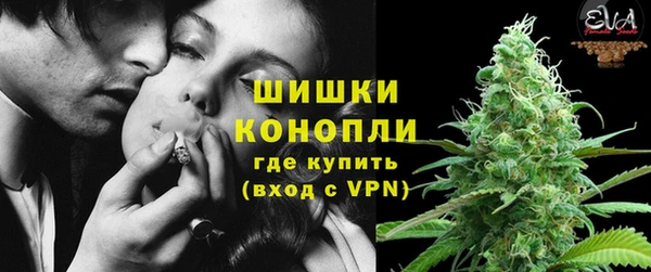 прущие грибы Богородицк