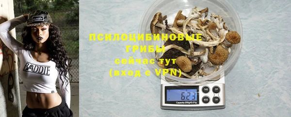 прущие крисы Богданович