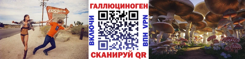 KRAKEN зеркало Наволоки Псилоцибиновые грибы MAGIC MUSHROOMS