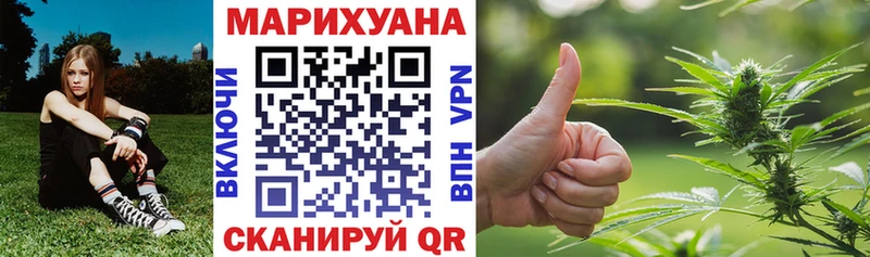 где можно купить наркотик  Наволоки  Марихуана сатива 